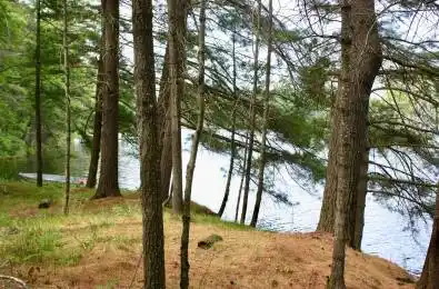 N/A-WAO Kasshabog Lake N/A Unit# LOT 2 Havelock-Belmont-Methuen Ontari