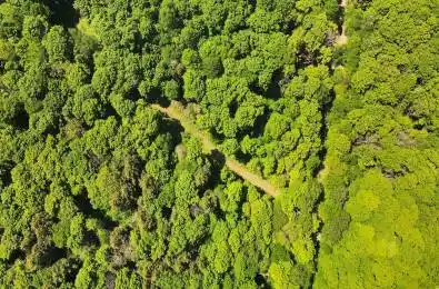 Lot 166 Glen Lake Court Dysart et al Ontario K0M 1M0