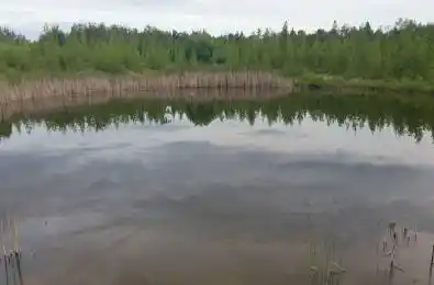 10400 and 10800 6th Concession Uxbridge Ontario L9P 1R2