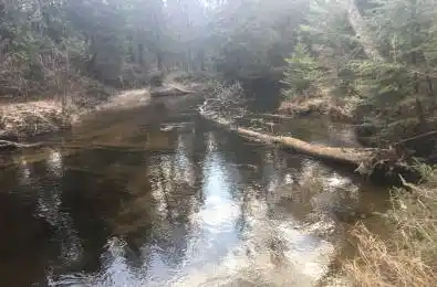 Pt Lt 13 Con 8 Road Wollaston Ontario K0L 1A0