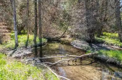 P/L35 Con 5 Bull Road Alnwick/Haldimand Ontario K0K 1C0