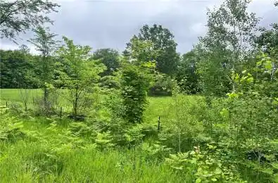 Lot 1 Grants Settlement Road Whitewater Region Ontario K0J 1K0