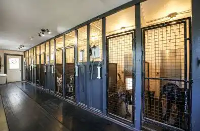 10246 Old Shiloh Road Georgina Ontario L0E 1N0