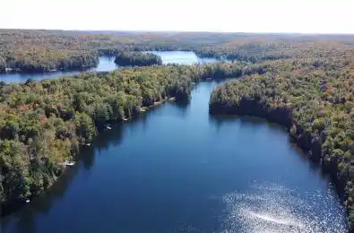 273C Clam Lake Road Kearney Ontario P0A 1M0