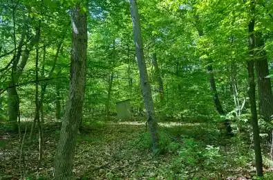 20 Riverside Drive Trent Hills Ontario K0L 1L0