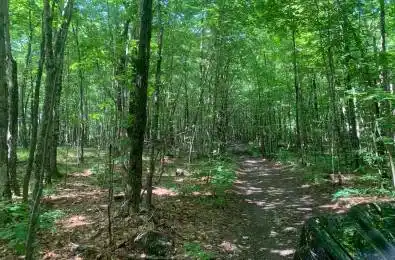 00 Clareview Road Stone Mills Ontario K0K 2A0