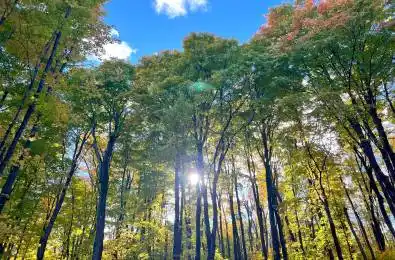 3191 Mountainview Road Killaloe, Hagarty and Richards Ontario K0J 2A0