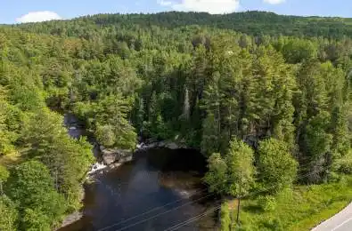 35532 Highway 28 Highway Carlow/Mayo Ontario K0L 2M0