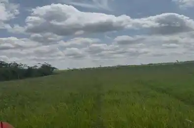 27979 Simcoe Street Kawartha Lakes Ontario K0M 2T0