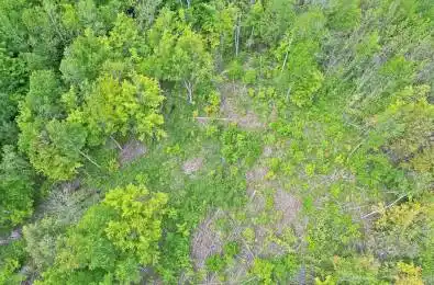 1382 Wilson Point Road Severn Ontario L3V 7E1