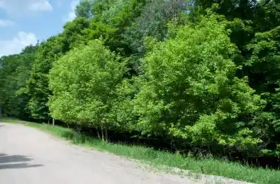 Lot 7 Ridgeview Road Dysart et al Ontario K0M 1S0