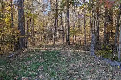 Flinton Road Tweed Ontario K0K 3J0