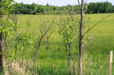 1521 Kilworthy Road Unit# LOT 2 Gravenhurst Ontario P0E 1G0