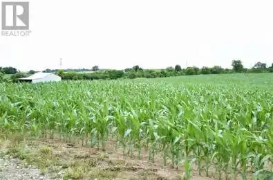15686 Muirkirk Line Chatham-Kent Ontario N0L 1X0