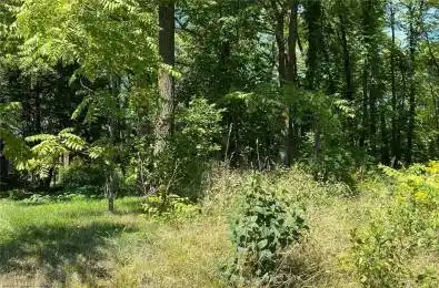 PT LT 3 Effingham Street Pelham Ontario L2R 6P7