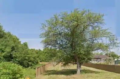 674 Main Street Brock Ontario L0K 1A0