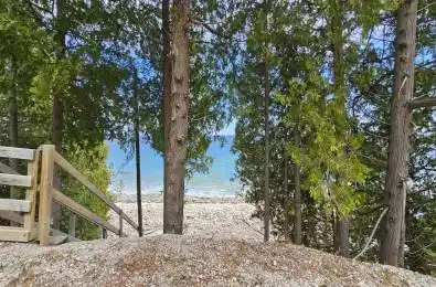 PT LT 21 Cape Chin N Shore Road Northern Bruce Peninsula Ontario N0H 1