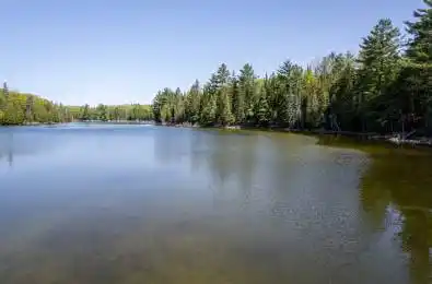 Johnson Road North Kawartha Ontario K0L 1A0