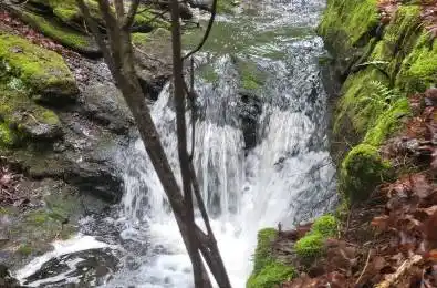 1191 Odessa Trail Dysart et al Ontario K0M 1S0