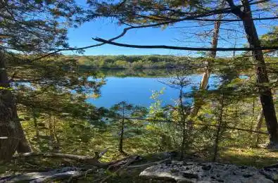 Moneymore Road Tweed Ontario K0K 3J0