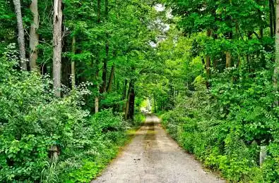 17956 Warden Avenue East Gwillimbury Ontario L0G 1V0