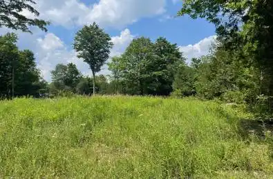 00000 PENNY Lane Grey Highlands Ontario N0C 1E0