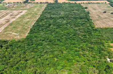 73325 HENDERSON Road Wainfleet Ontario L0R 2J0