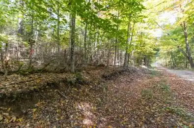 Lynx Lake Road Huntsville Ontario P1H 2J3