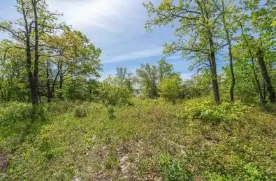 Northeys Bay Road North Kawartha Ontario K0L 2H0