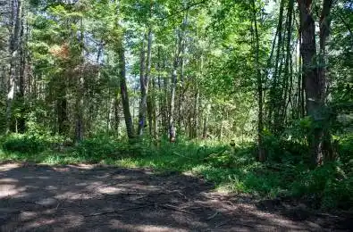 1137 Blackmore Road Bracebridge Ontario P1P 1X1