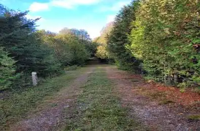 PT LT88 HIGHWAY 10 N/A West Grey Ontario N0C 1H0