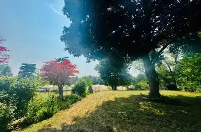 272 Essex (Work Out Basement) Avenue Richmond Hill Ontario L4C 2C2