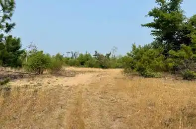 POTTER SETTLEMENT Road Tweed Ontario K0K 3J0