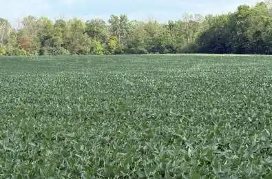 Lot 25 7 Concession West Grey Ontario N0G 2L0