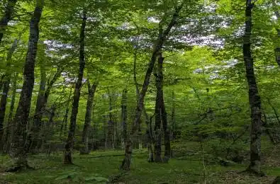 00 Triple Tower Road Lanark Highlands Ontario K0G 1K0