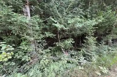 Schimmens Road Brudenell, Lyndoch and Raglan Ontario K0J 2E0