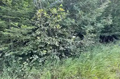 00 Schimmens Road Brudenell, Lyndoch and Raglan Ontario K0J 2E0