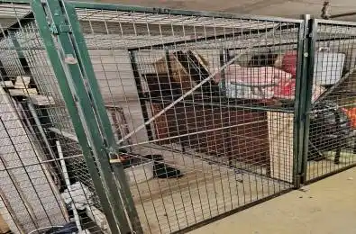 44 Gerrard Street Unit# P2 Locker #40 Toronto C01 Ontario M5G 2K2