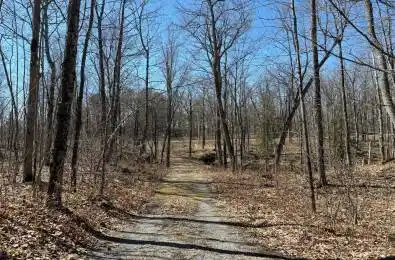 185 Julian Lake Road North Kawartha Ontario K0L 3E0