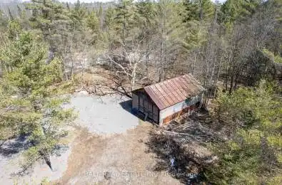3 Fire Route 81 N/A Trent Lakes Ontario K0L 1J0