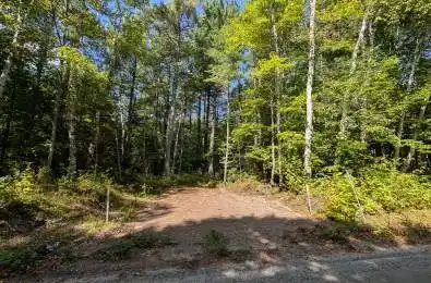 2206 YEARLEY Road McMurrich/Monteith Ontario P0A 1Y0