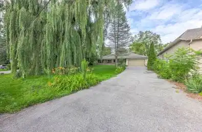 56 Fergus Avenue Unit# Main Fl Richmond Hill Ontario L4E 3C1