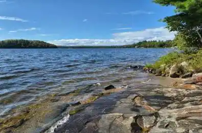 2193 Fern Glen Road McMurrich/Monteith Ontario P0A 1J0