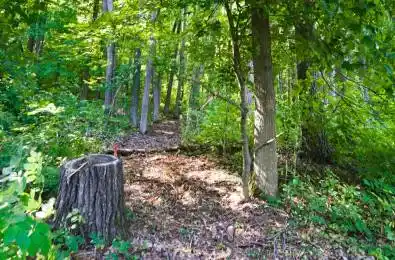 Pinewood School Road Cramahe Ontario K0K 1M0