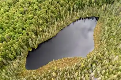 372 McDougall Road McDougall Ontario P2A 0B3