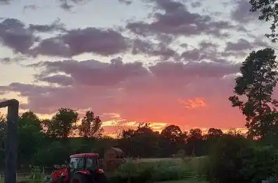 450 Thomasburg Road Centre Hastings Ontario K0K 3H0