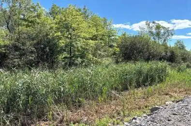 PT LT 4 Ramey Road Port Colborne Ontario L0S 1N0