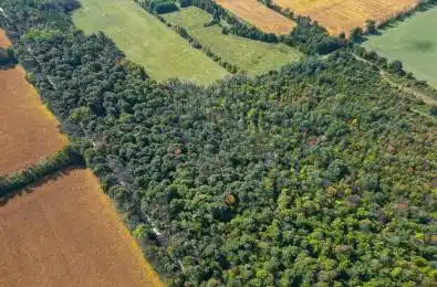 PTLT 30 30th Sideroad NDR N/A West Grey Ontario N0G 1S0