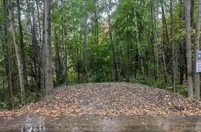 Lot 1 Tally-Ho Winter Park Road Lake of Bays Ontario P1H 2E8