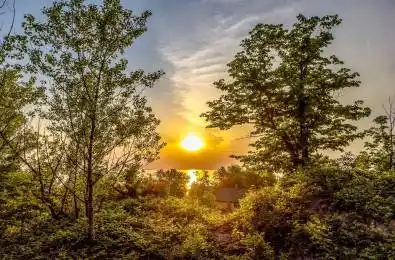 Lot 23 Tiny Beaches Road Tiny Ontario L0L 2T0